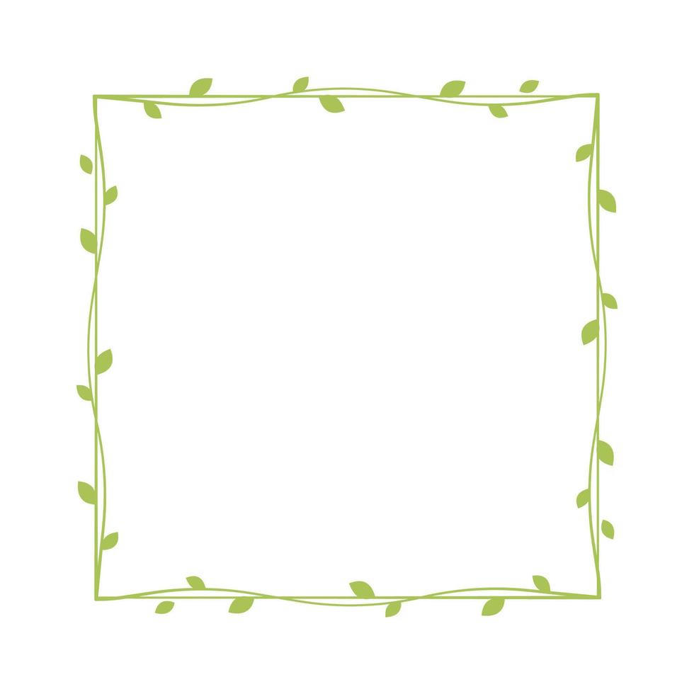 Square green vine frames and borders, floral botanical design element vector illustration