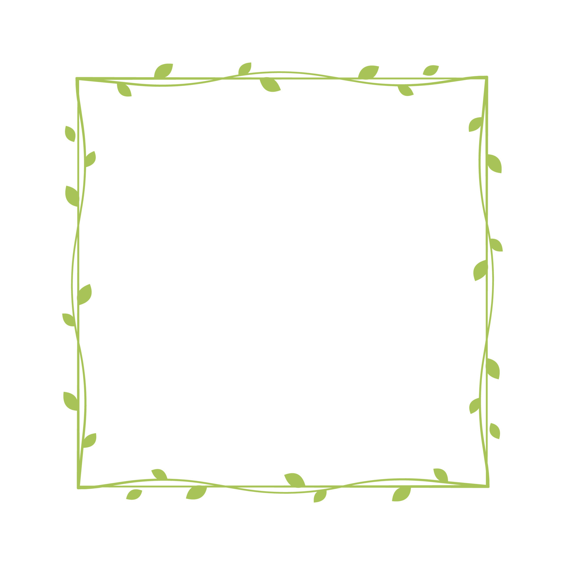 Square green vine frames and borders, floral botanical design element