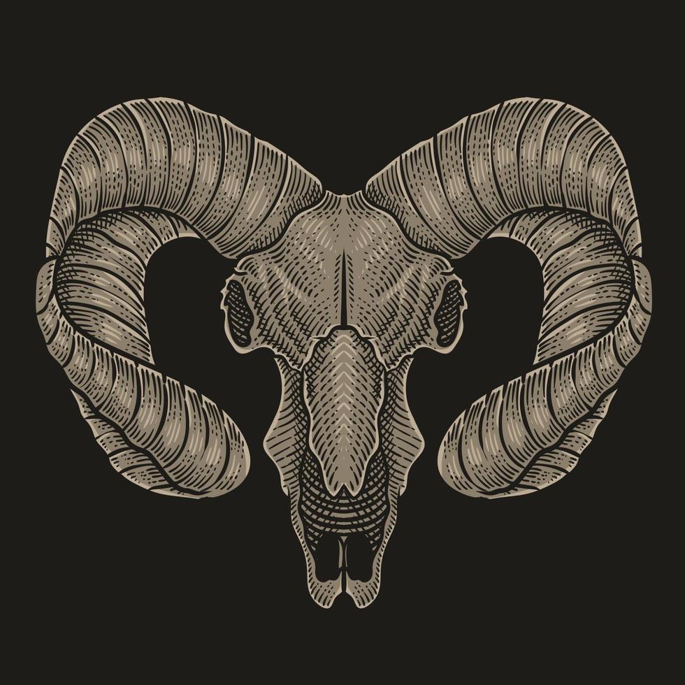 illustration goad skull on black background vector