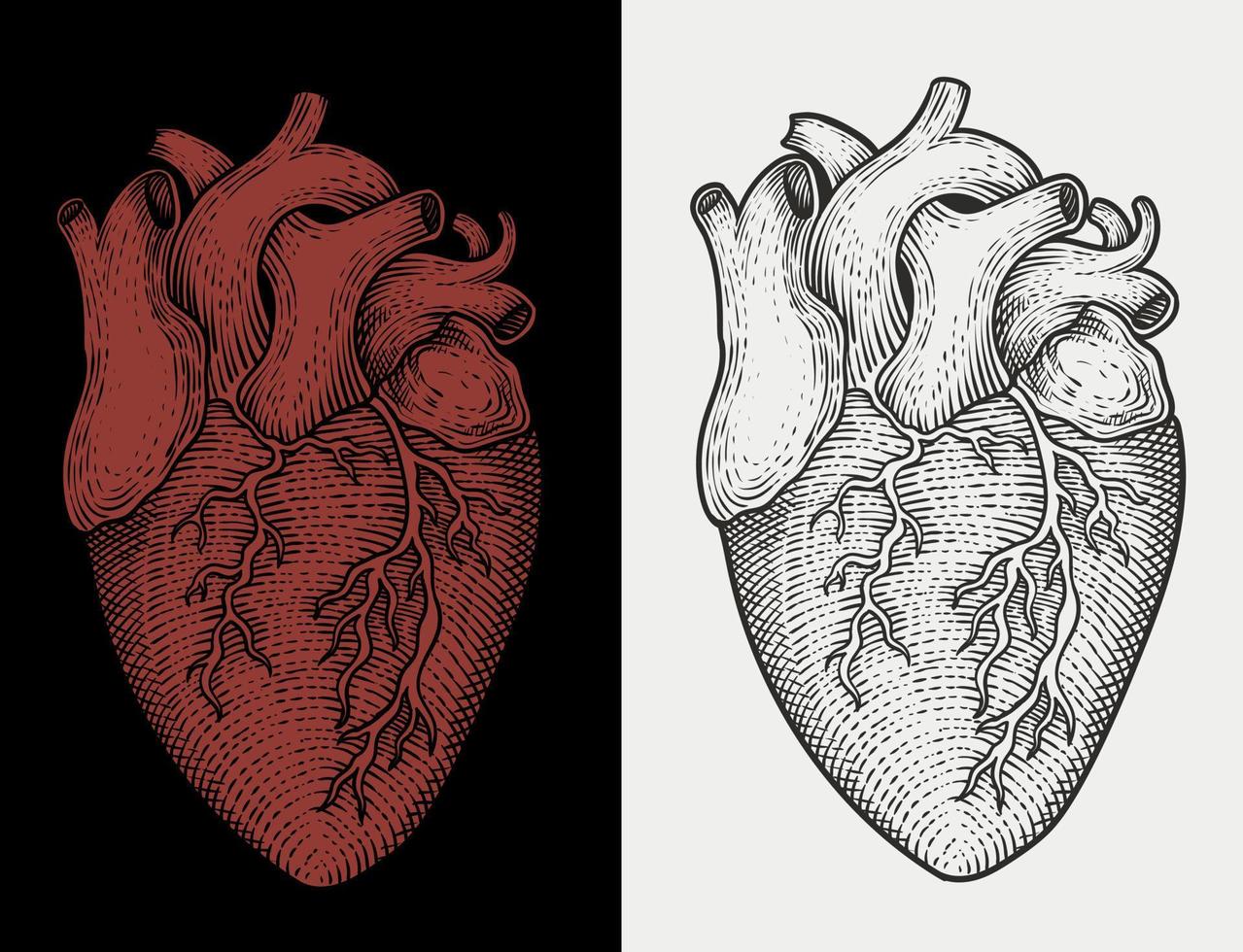 ilustración antiguo corazón con grabado estilo vector