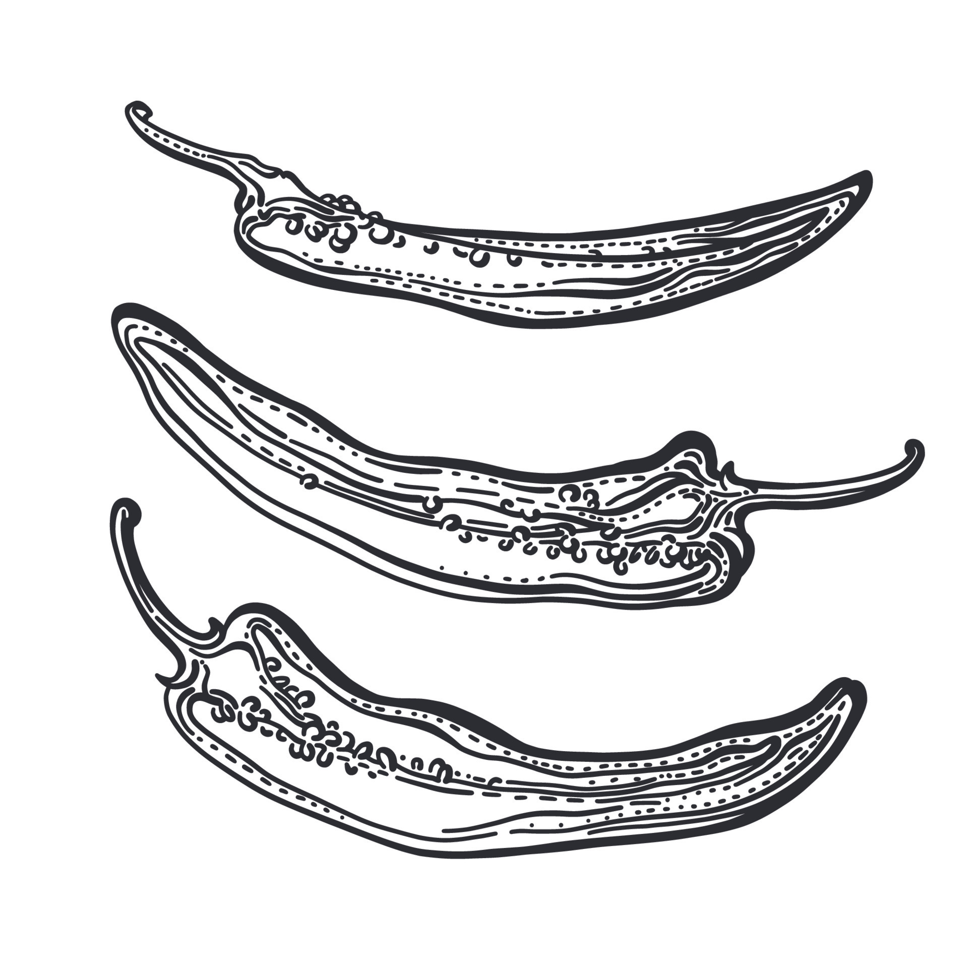 Pepper chilli set, cut. Engraving sketch. Vector 21691520 Vector Art at ...