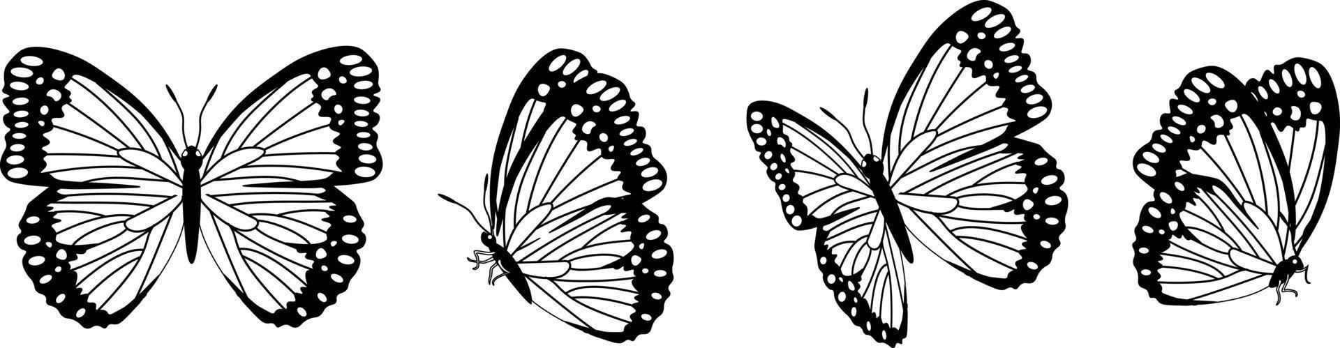 Butterfly silhouette in 4 options vector in isolated background