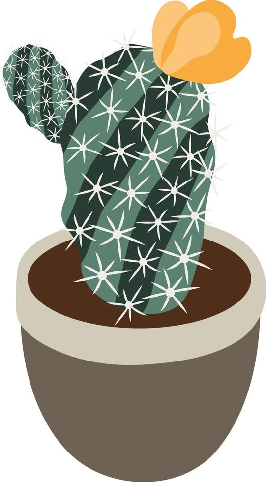 Green cactus pot home garden botanic houseplant vector