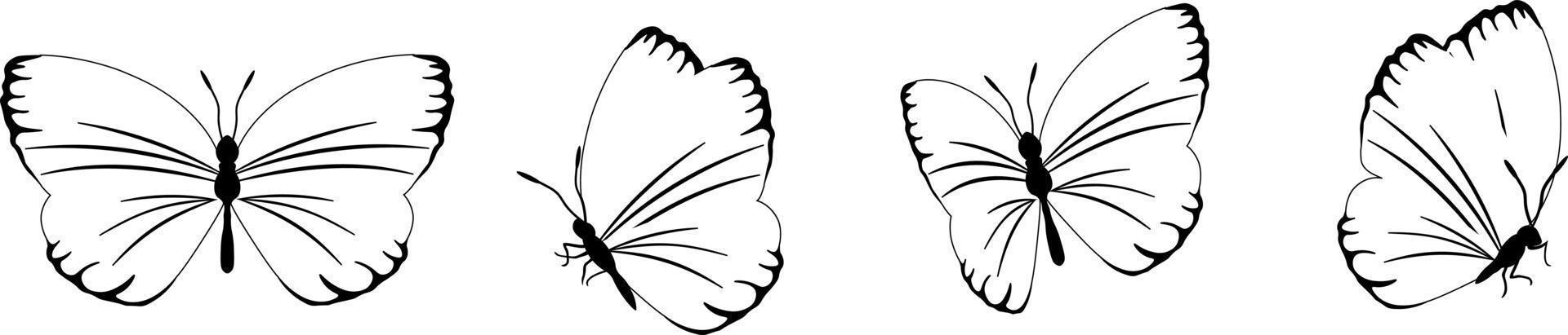 mariposa silueta en 4 4 opciones vector en aislado antecedentes