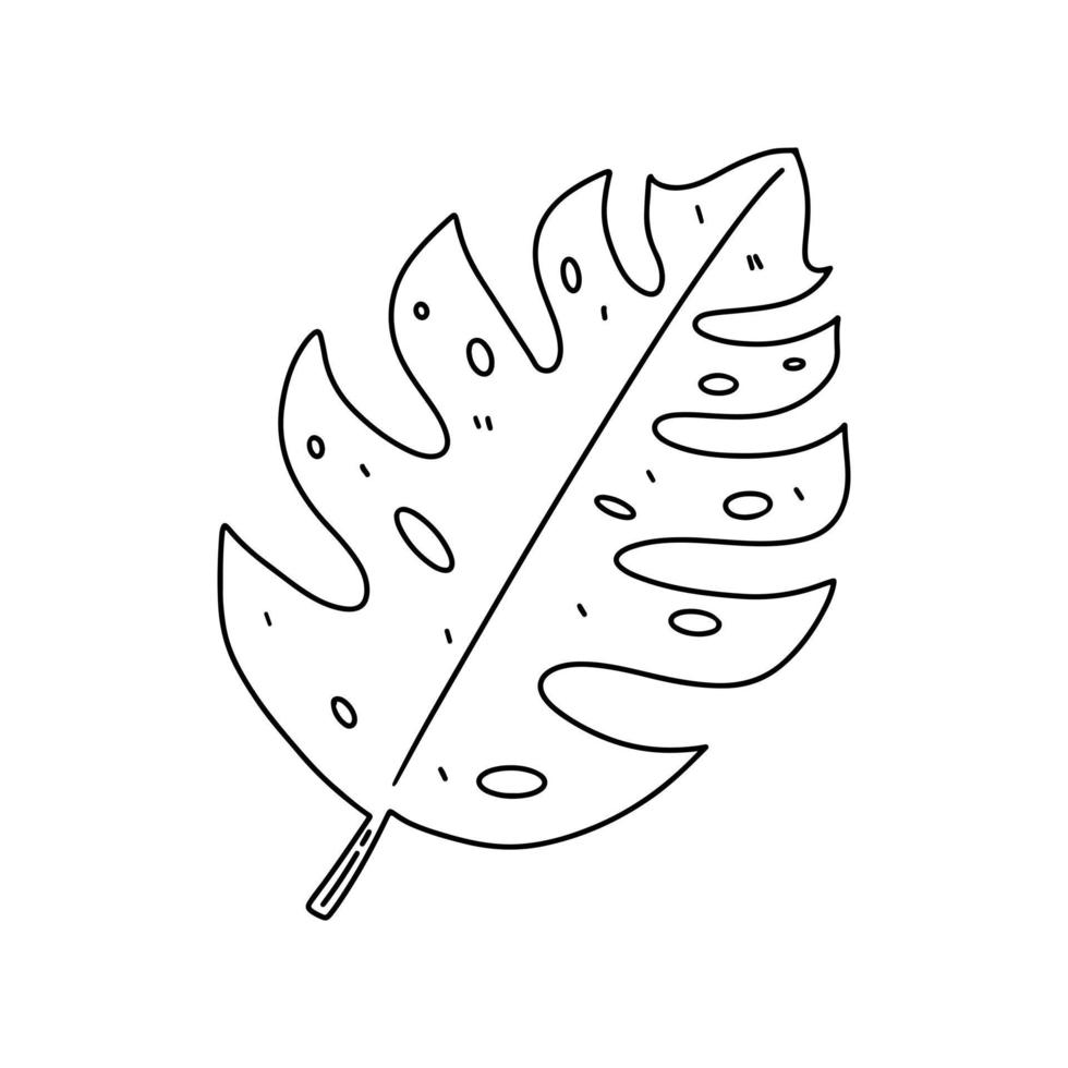 Tropical monstera leaf in hand drawn doodle style. Vector illustration isolated on a white background. Cute for cards, flyers, stickers, textile, web design.