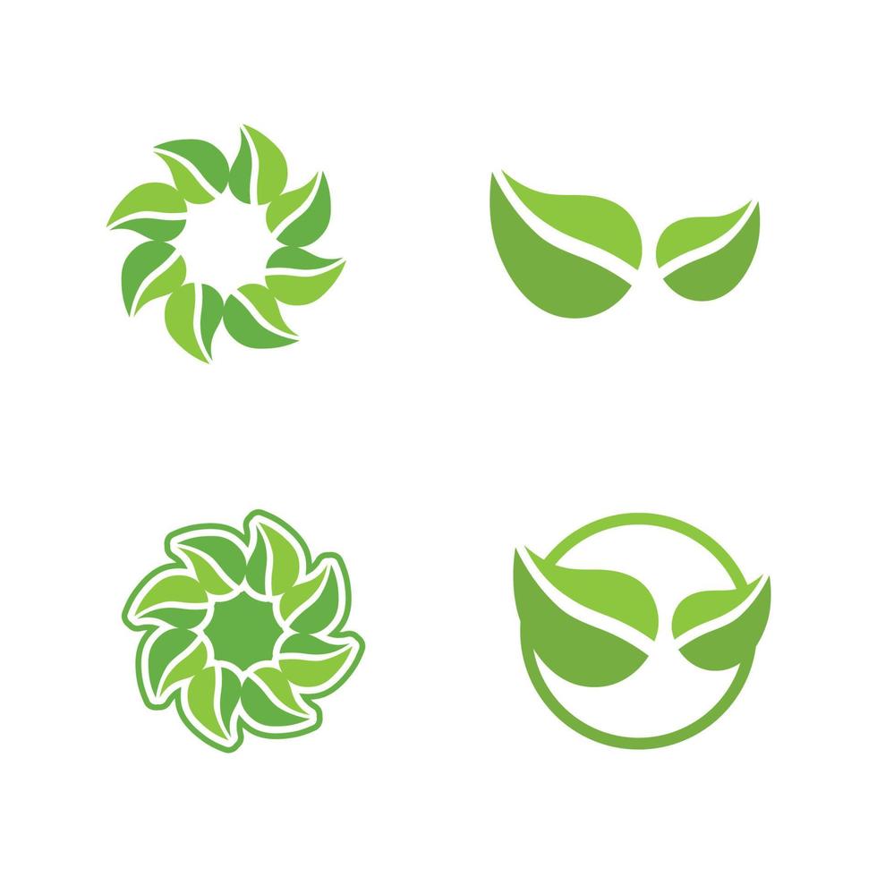 Eco Energy Vector Logo with leaf symbol. Green color with flash or thunder graphic. Nature and electricity renewable. This logo is suitable for technology, recycle, organic.