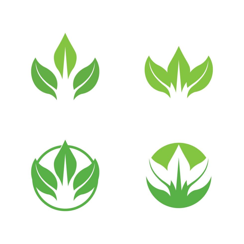 Eco Energy Vector Logo with leaf symbol. Green color with flash or thunder graphic. Nature and electricity renewable. This logo is suitable for technology, recycle, organic.