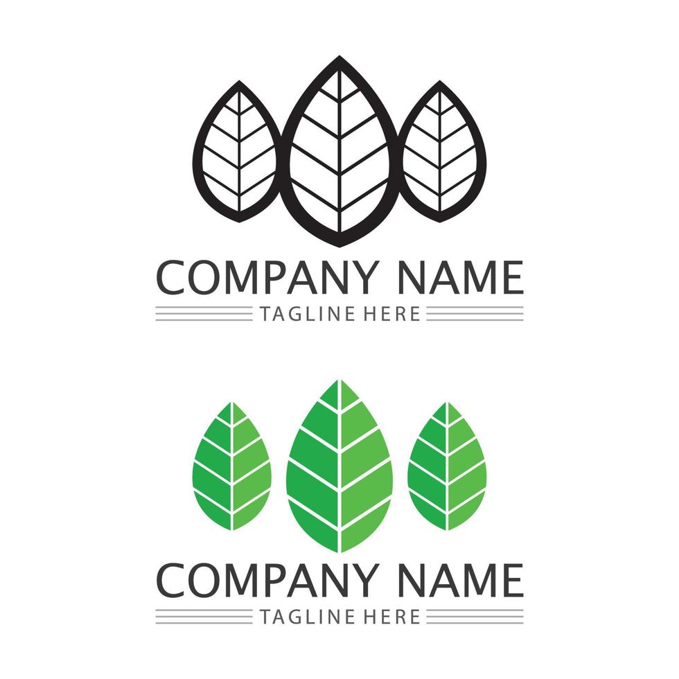 Logos of green Tree leaf ecology vector