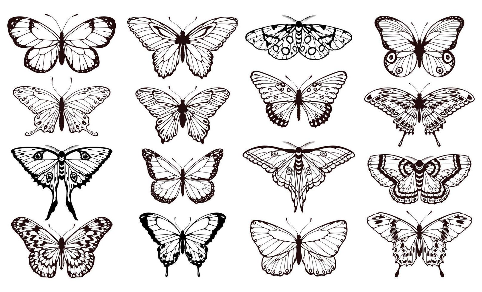 Butterfly silhouettes. Black outline butterflies tattoo graphic, tropical cute insects. Metamorphosis and spring symbols isolated vector set