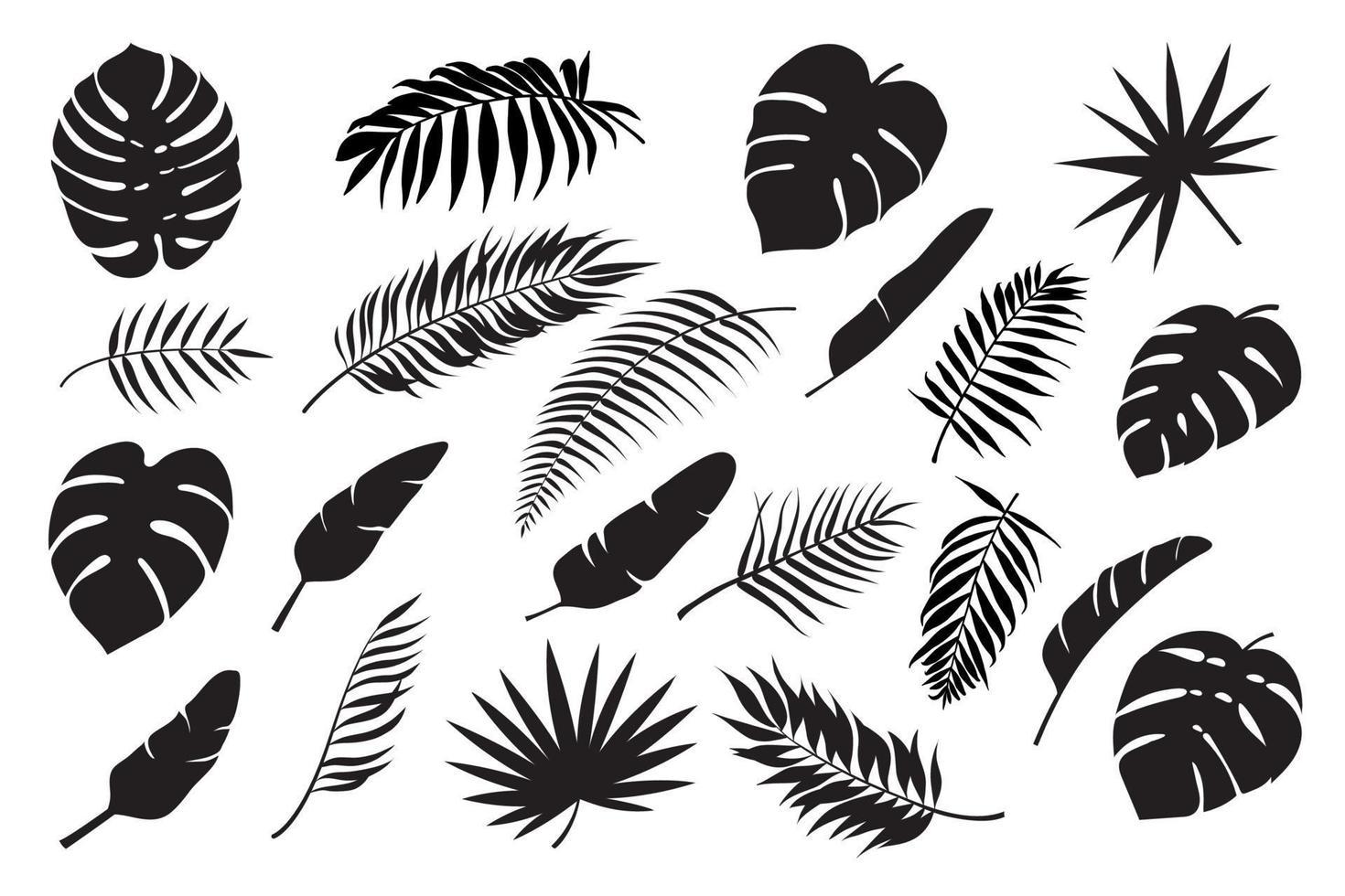 Palm leaves silhouettes. Tropical leaf monstera, banana and coconut. Jungle foliage, exotic rainforest palm tree floral decoration vector set