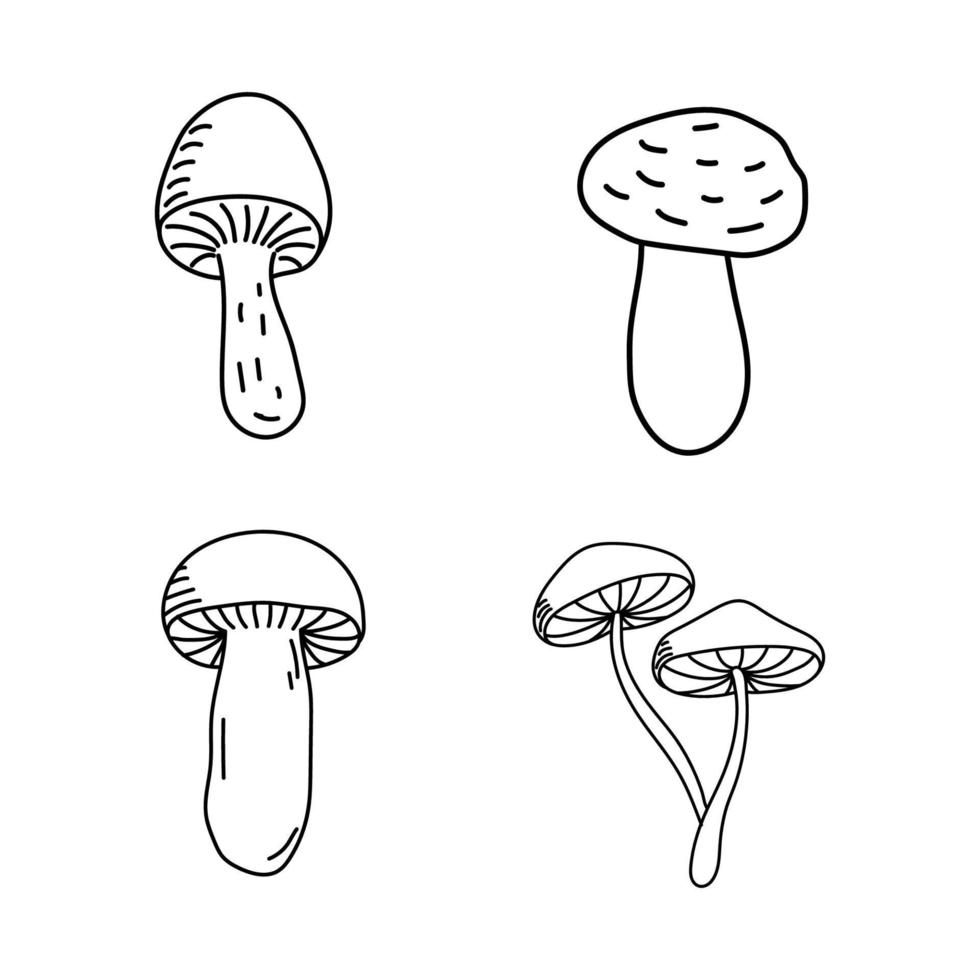 Mushrooms. Doodle vector illustration.