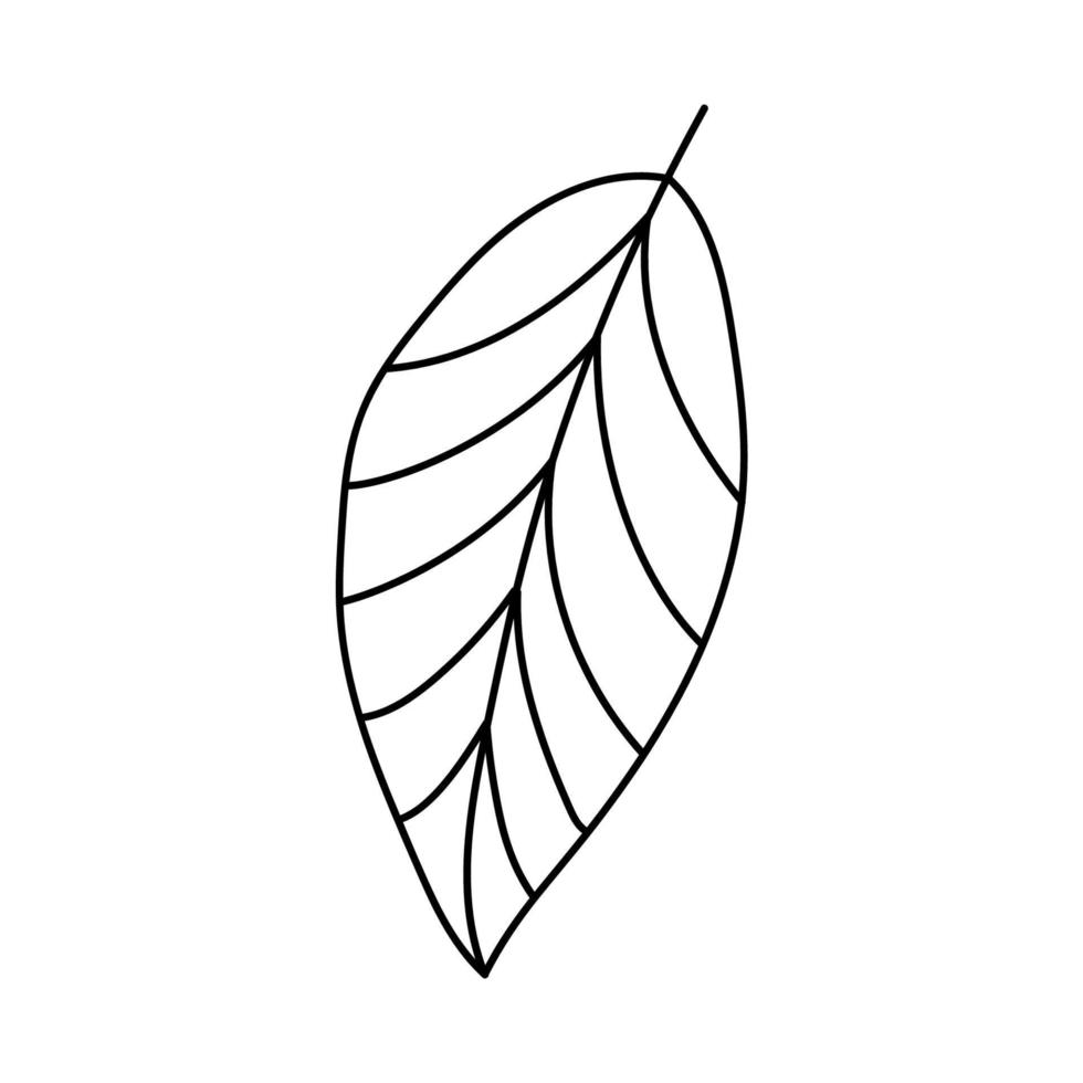 Tree leaf. Doodle vector illustration.