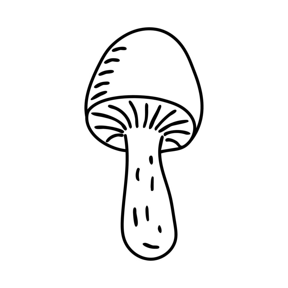 Mushroom. Doodle vector illustration.