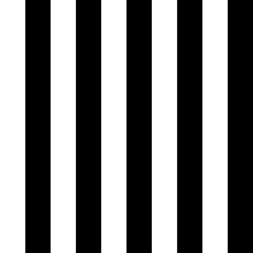 black and white stripes background vector