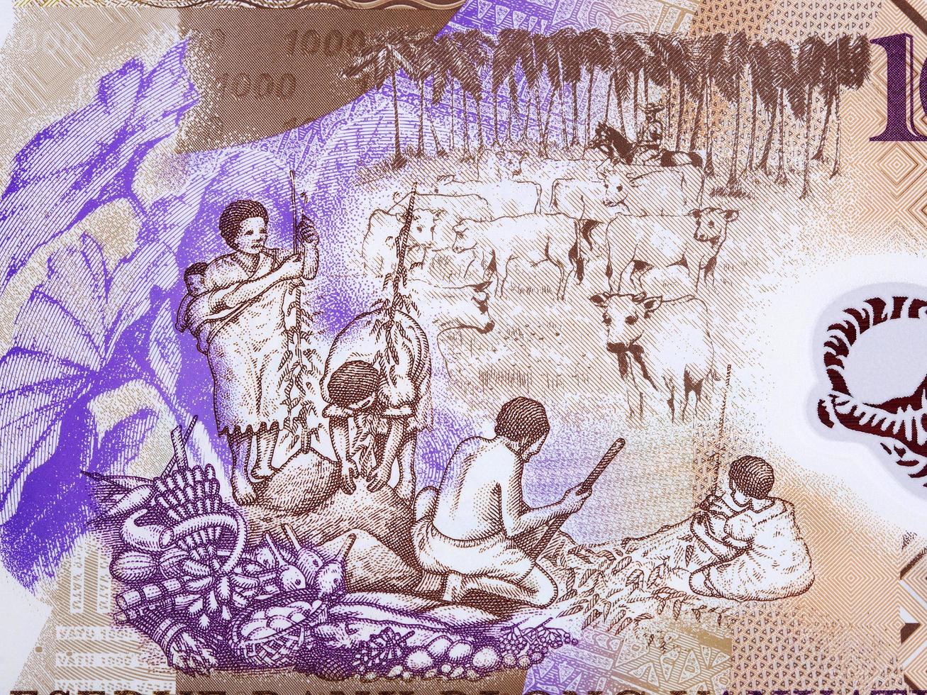 Four farmers with crops and rancher among cattle  from Vanuatu money photo