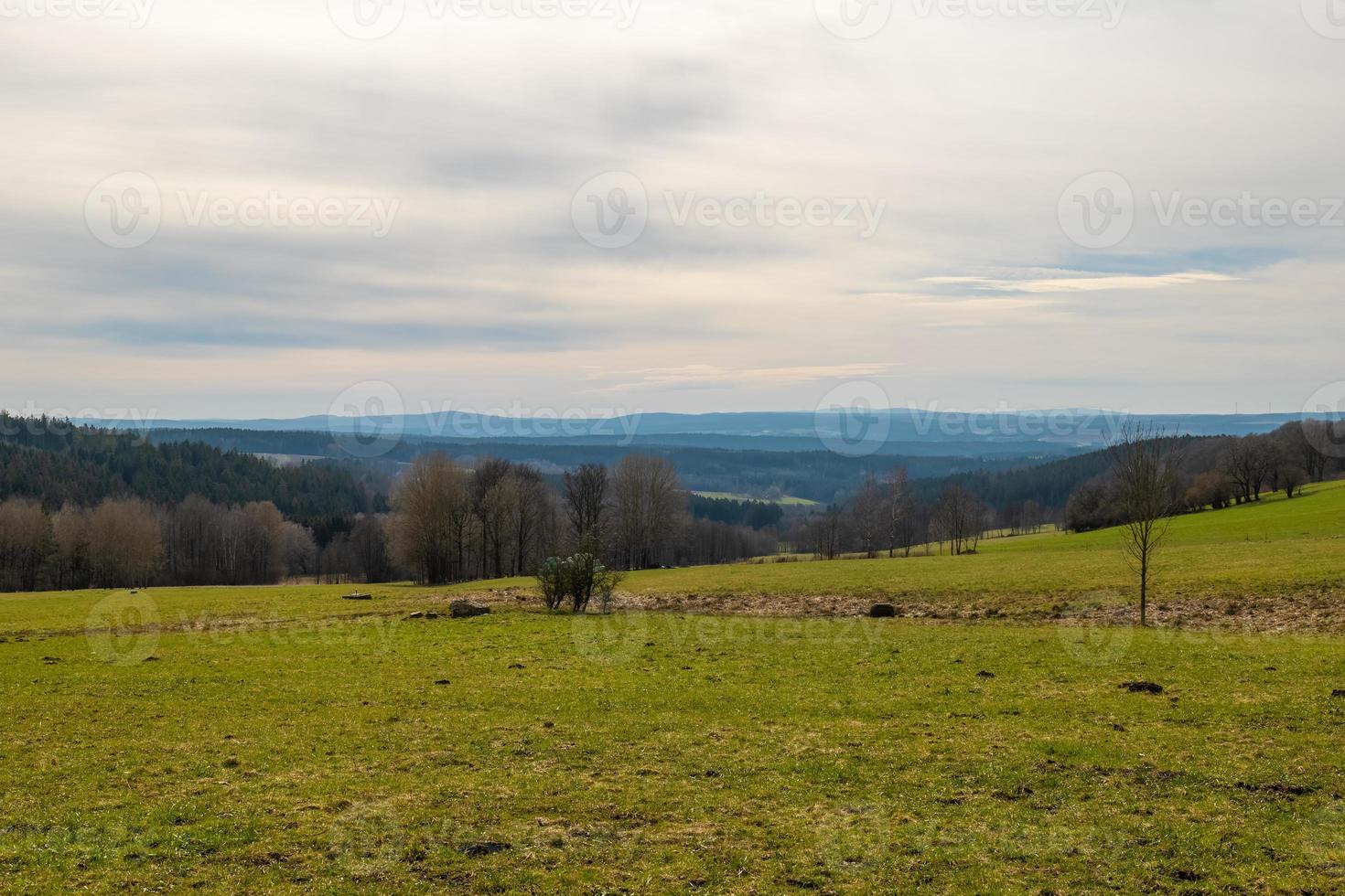 green meadow with landscape in springtime photo