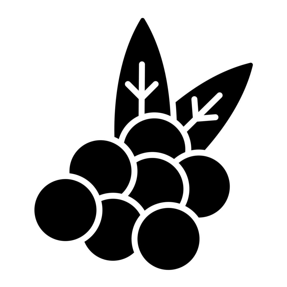 Berries vector icon