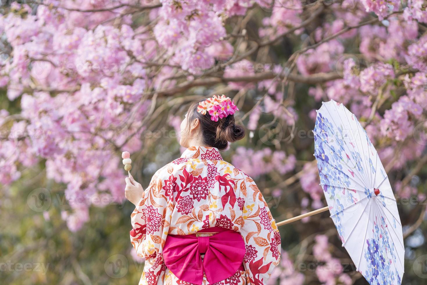 Back of Japanese woman in traditional kimono dress holding umbrella and sweet hanami dango dessert while walking in the park at cherry blossom tree during the spring sakura festival with copy space photo