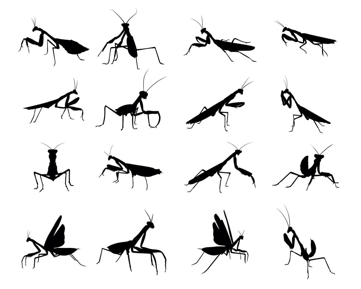 Set mantis silhouette vector illustration.