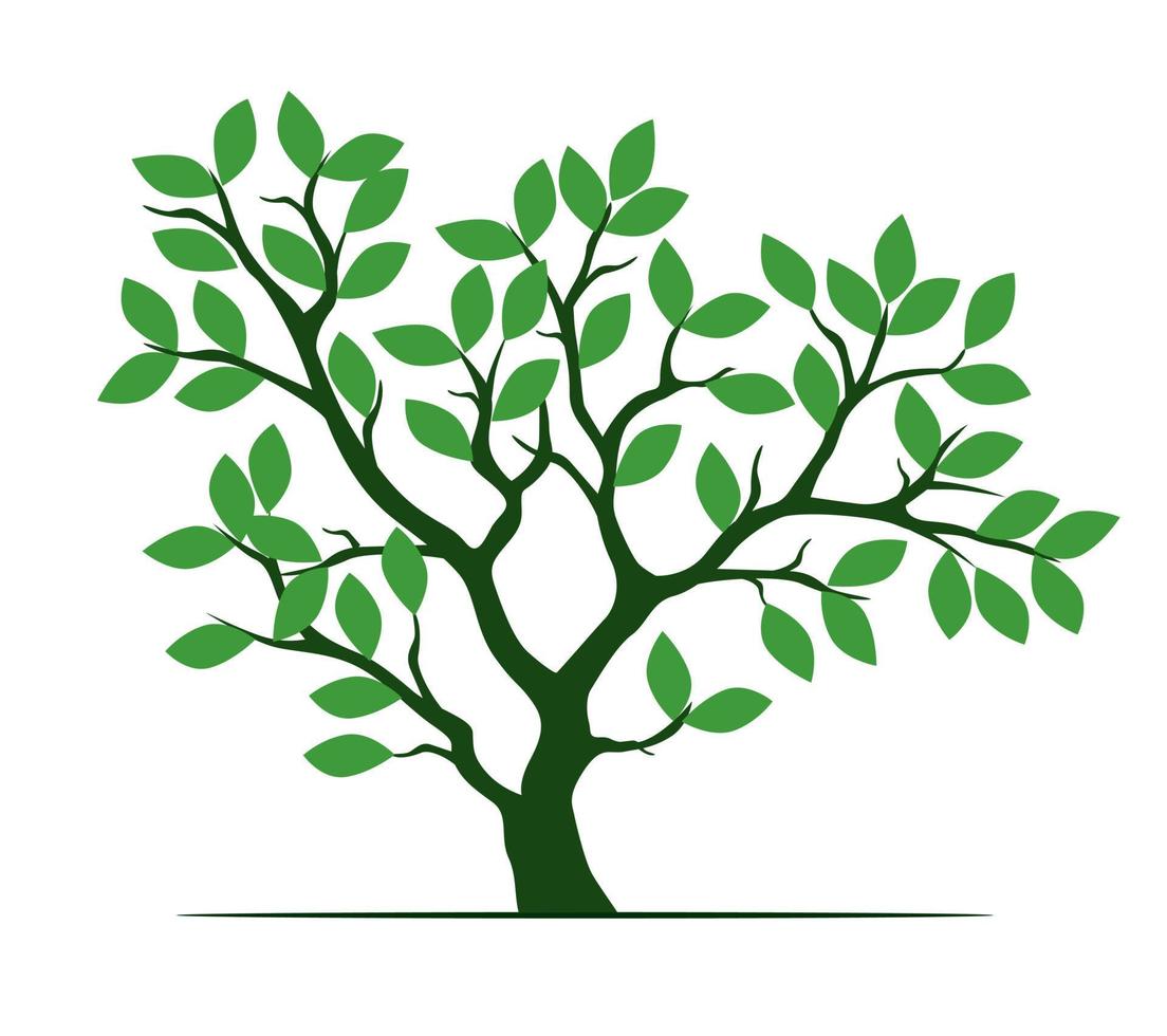 Shape of green Tree with Leaves. Vector outline Illustration.