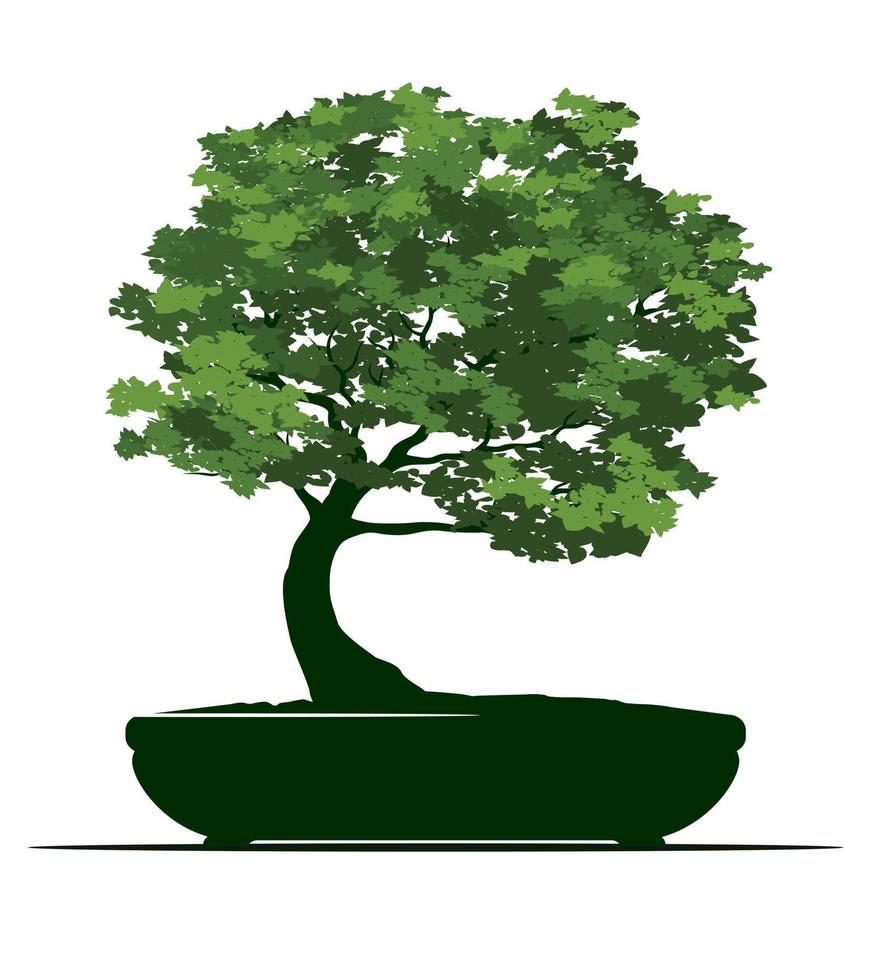 Shape of Tree on pot. Vector outline Illustration of Bonsai.