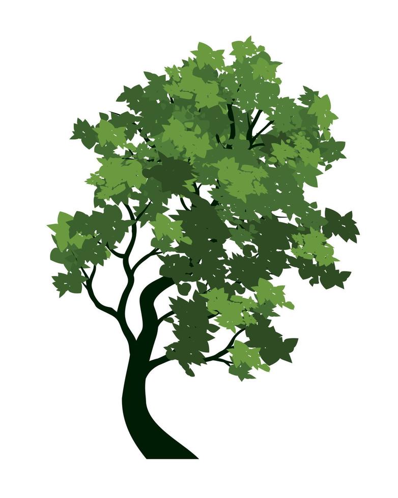 Green Tree with Leaves. Vector outline Illustration. Plant in Garden.