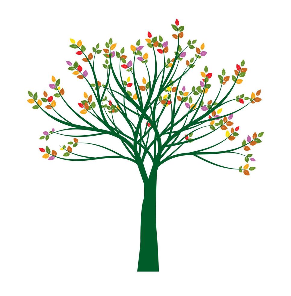 Green Tree with colour Leaves. Vector outline Illustration. Plant in Garden.