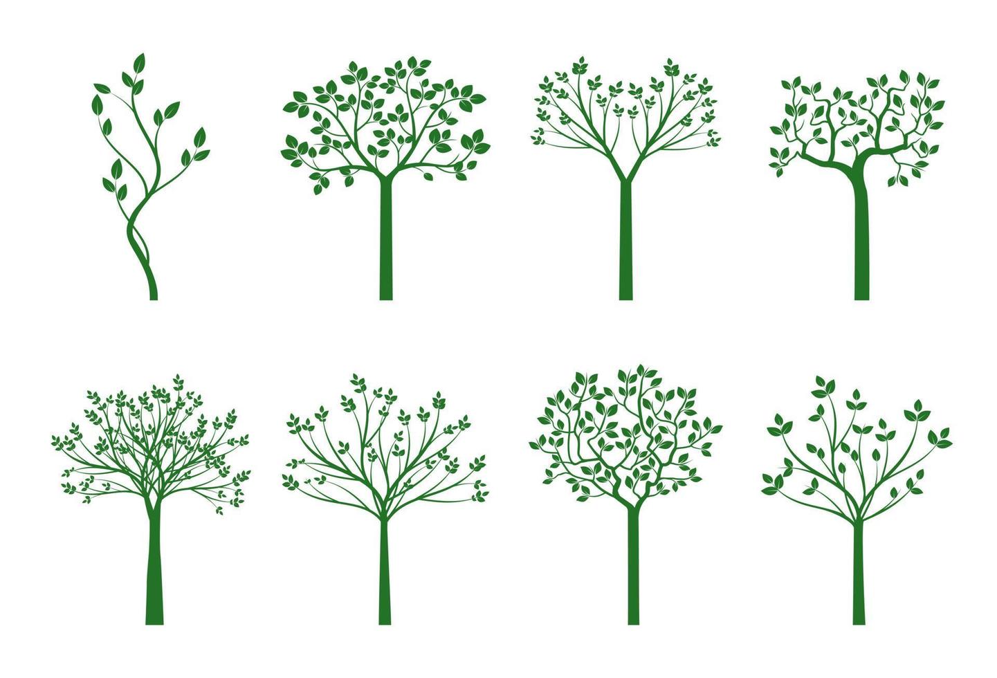 Set green Young Trees. Vector Illustration.