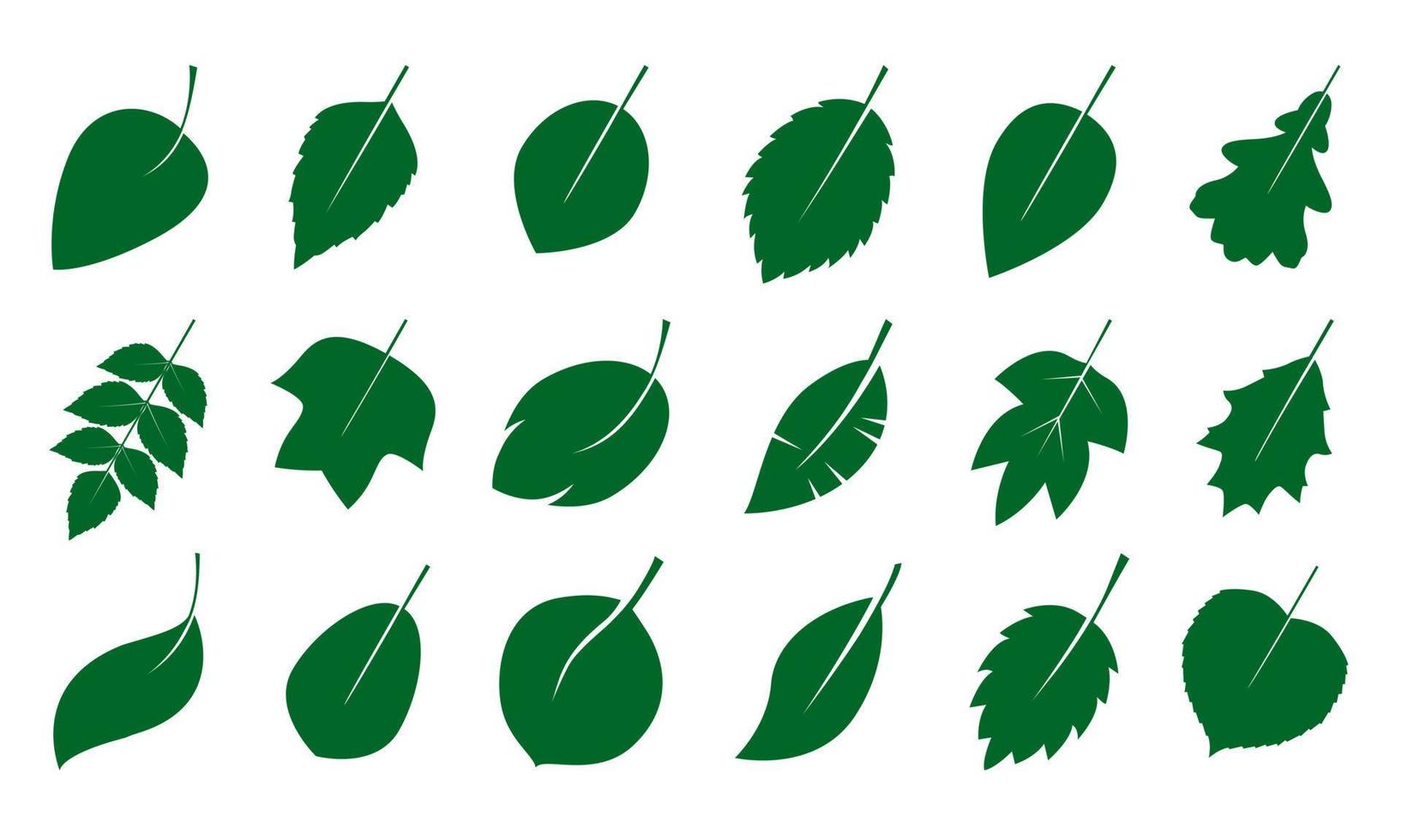 Set of isalated green Leaves. Vector Illustration.