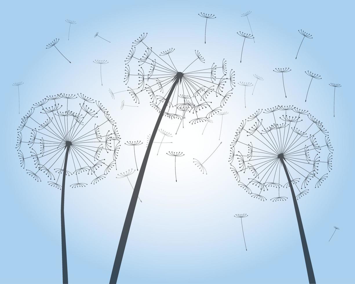 Shape of vector dandelion on blue sky. Outline illustration.