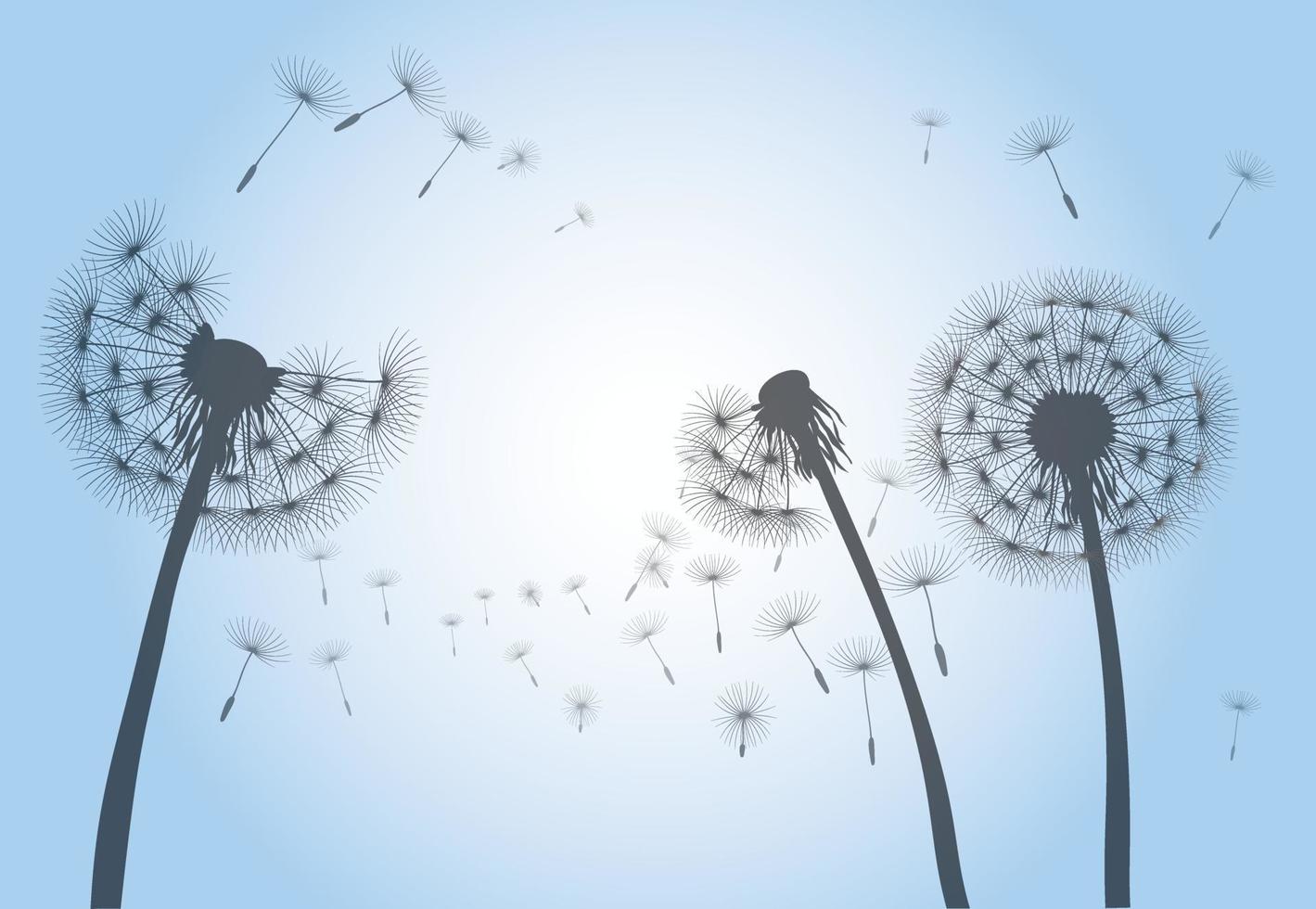 Late Summer and Flying Seeds. Dandelion flower. Vector outline illustration.