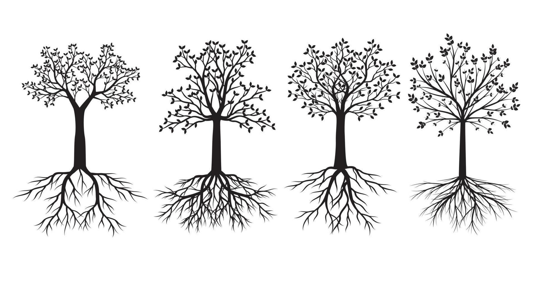 Set of black Trees with Leaves and Roots. Vector outline Illustration
