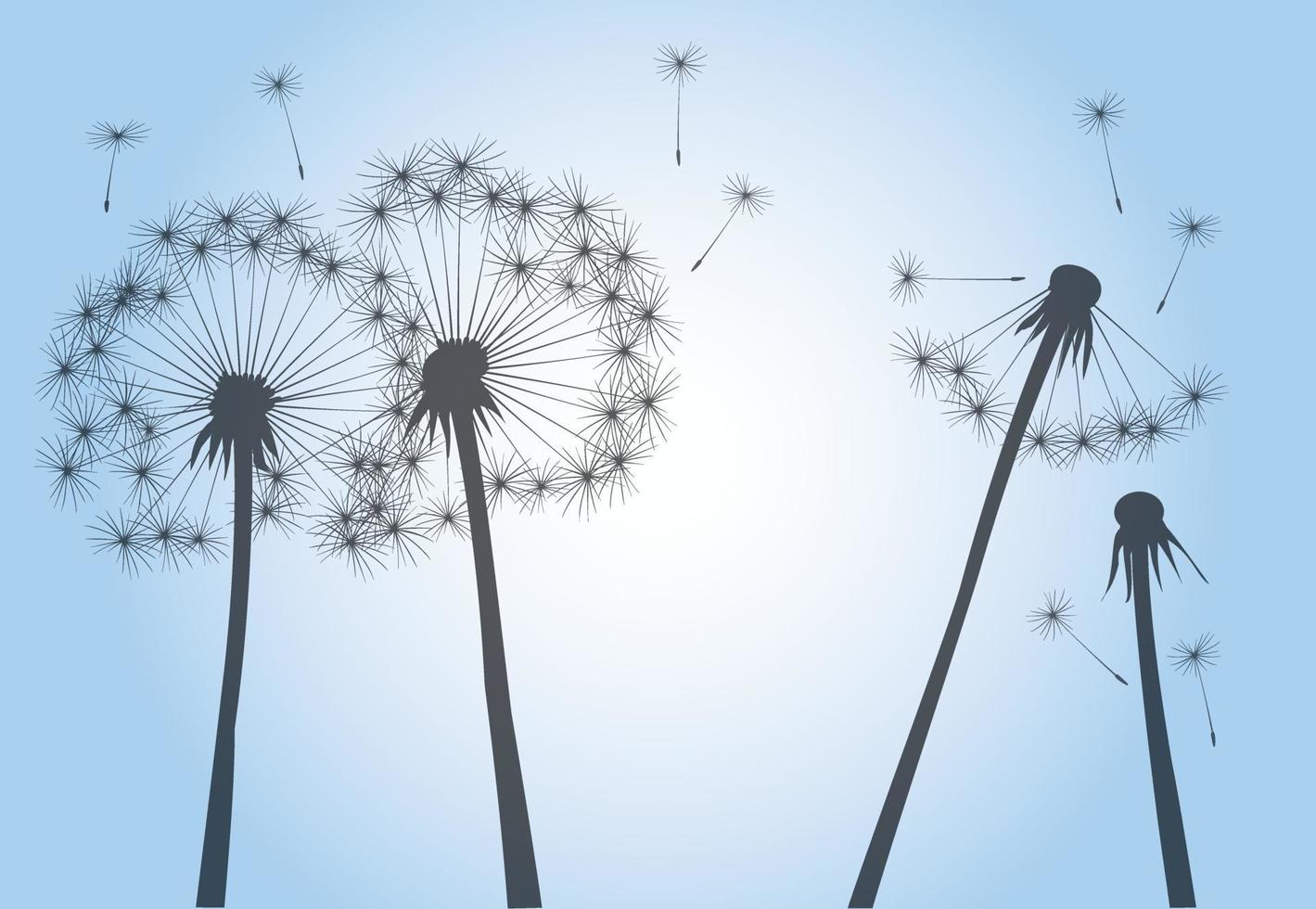 Late Summer and Flying Seeds. Dandelion flower. Vector outline illustration.