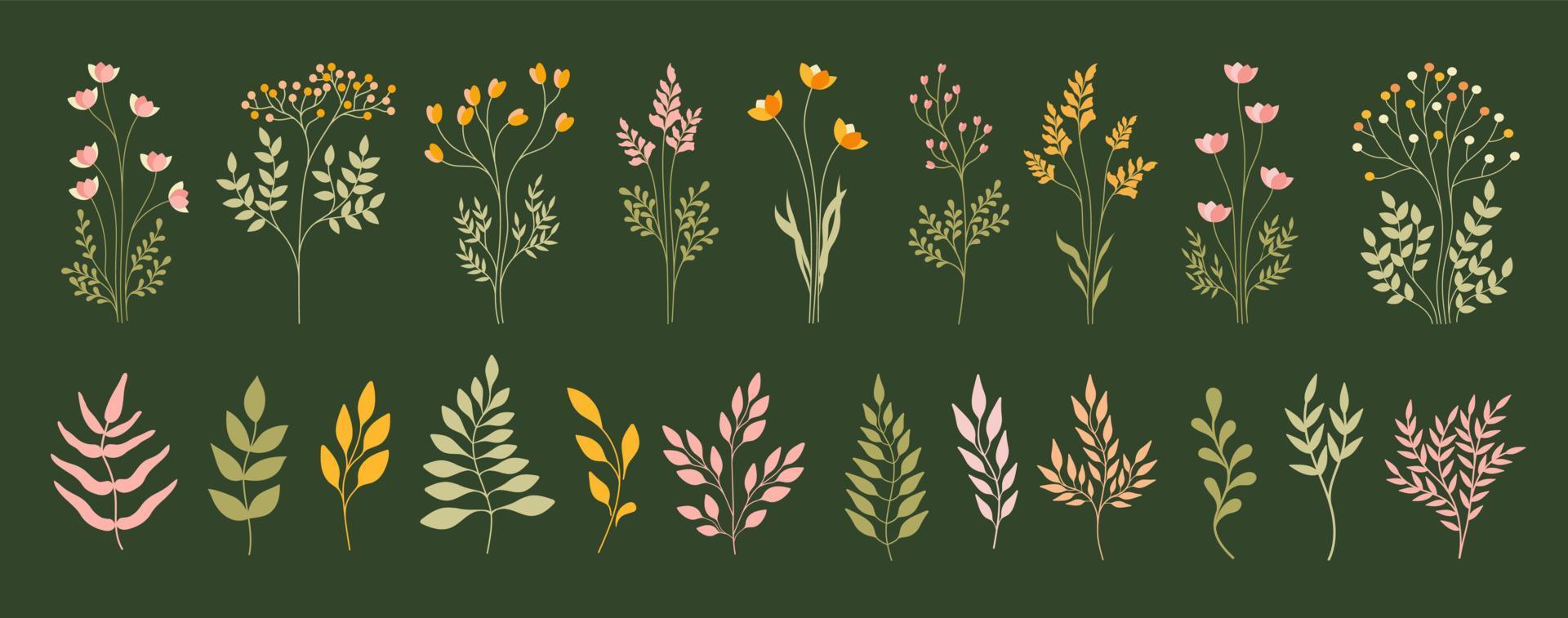 Set of different flowers. Perfect for herbal medicine and organic cosmetics. Vector. vector