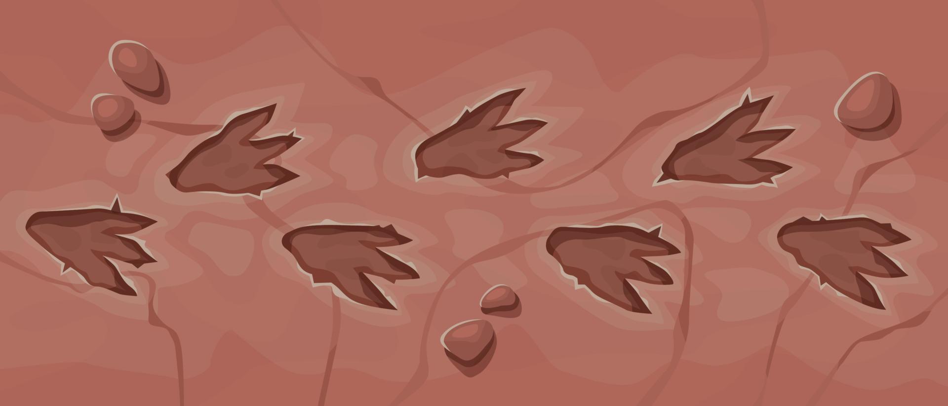 Top view of dinosaur footprint track on stones. vector
