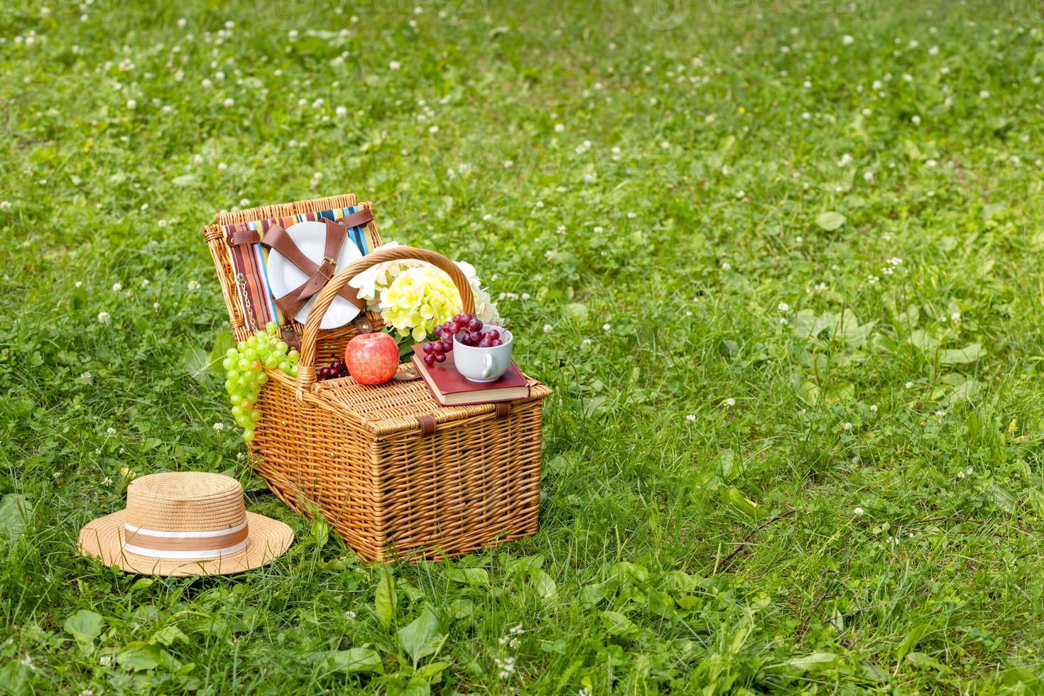 picnic cesta en verde césped en el parque. delicioso comida para almuerzo al aire libre. bonito verano día. espacio para Copiar. foto