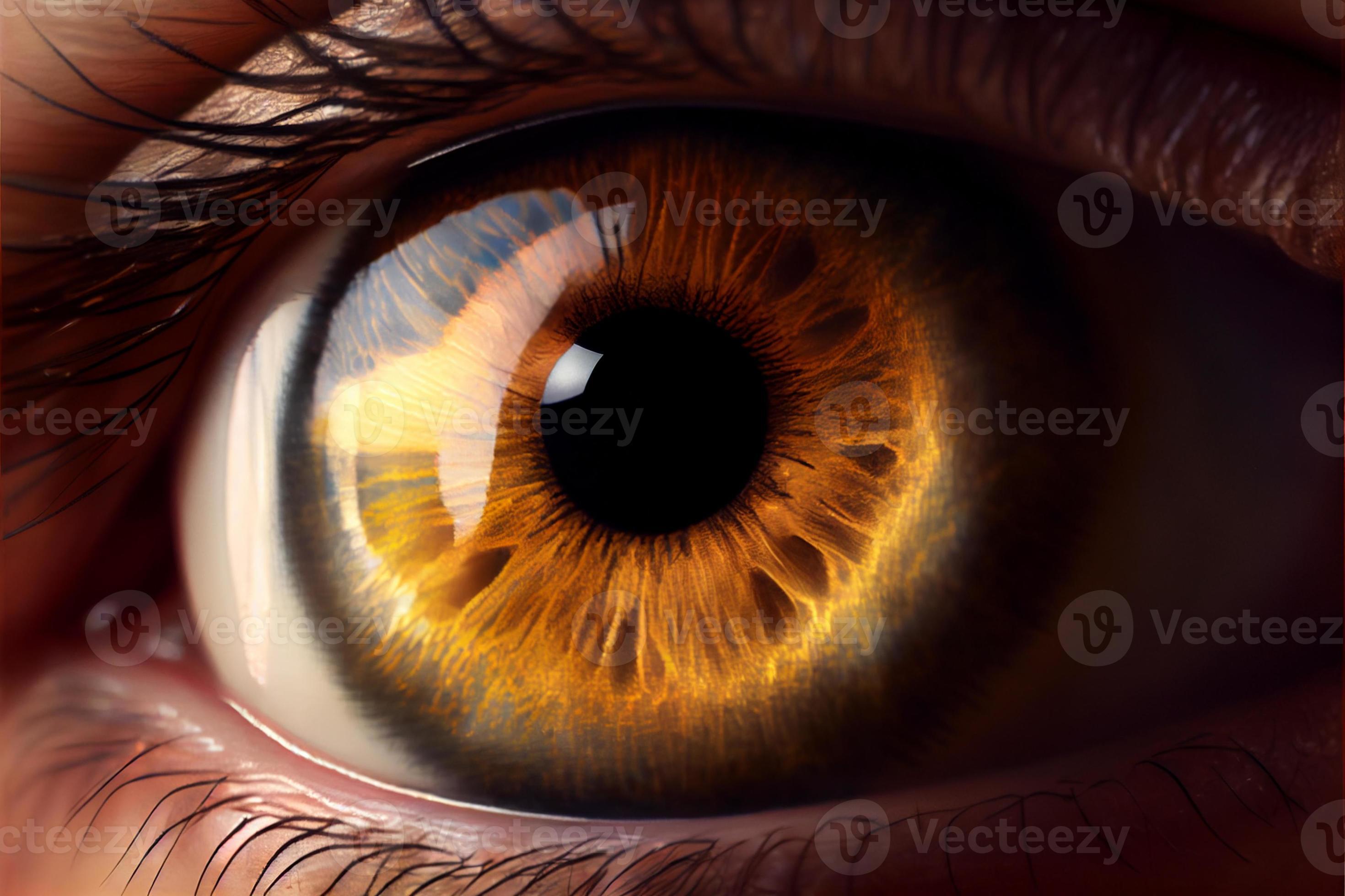 close up shot of beautiful eye iris with reflection 21696928 Stock