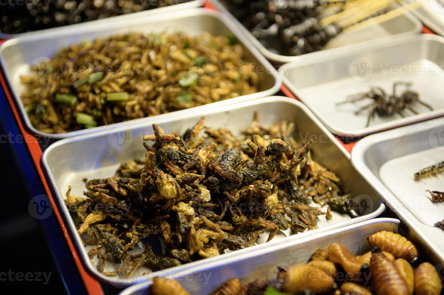 Exotic food in Khao San road at night in Bangkok city, Thailand, Holidays and traveling concept photo