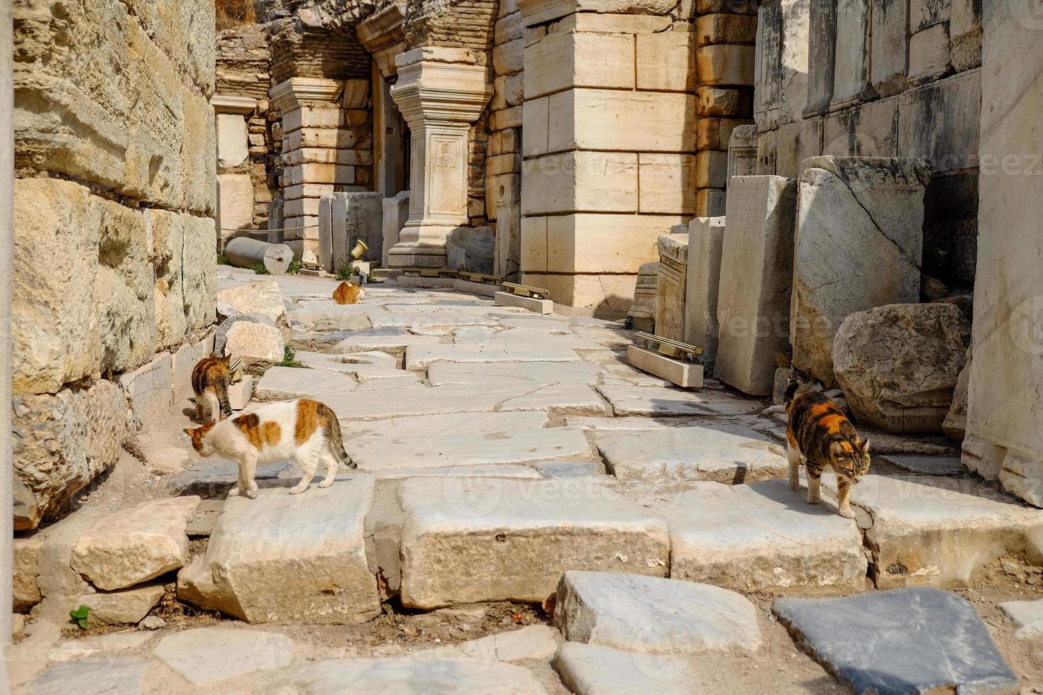 Ancient statue in the city of Ephesus, Turkey photo