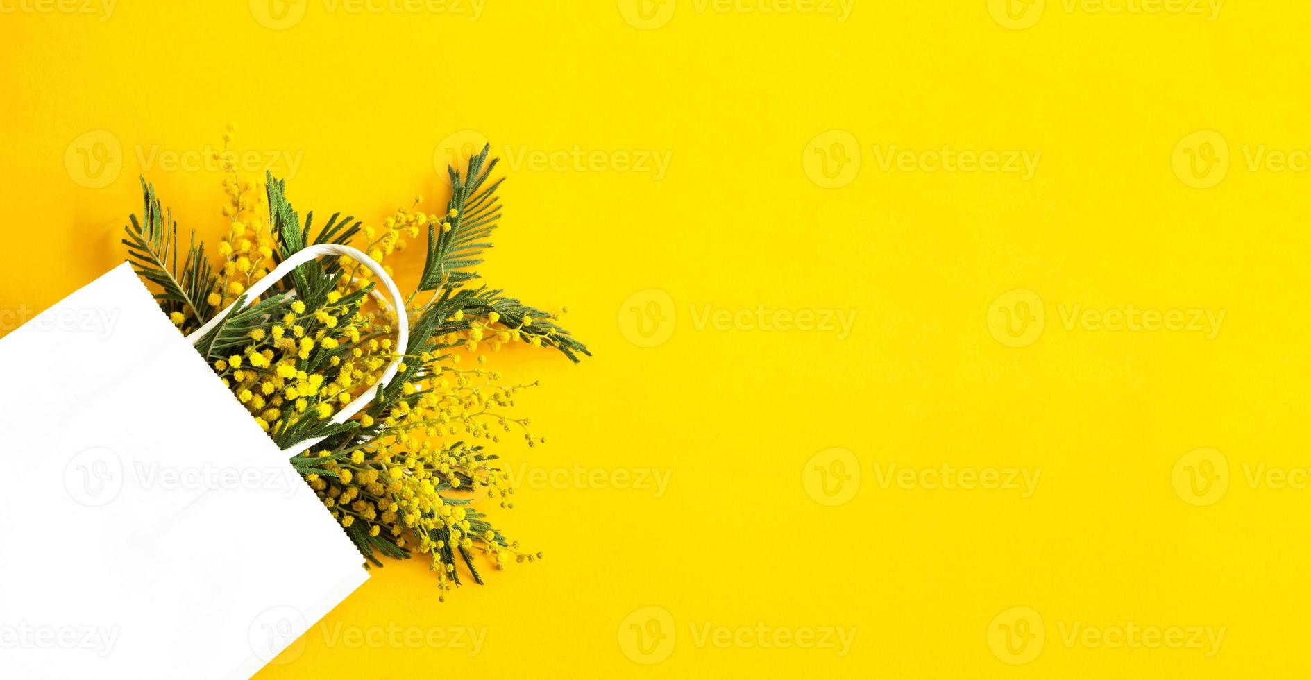 A bouquet of mimosa in a white mock up gift bag. Spring shopping, gifts and promotions for International Women's Day. Yellow background, copyspace. photo