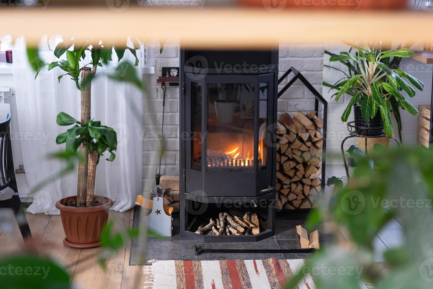 Black Metal Steel fireplace stove with fire and firewood in green home with indoor plant in flower pot in village house. Cozy home hearth in interior with potted plants photo