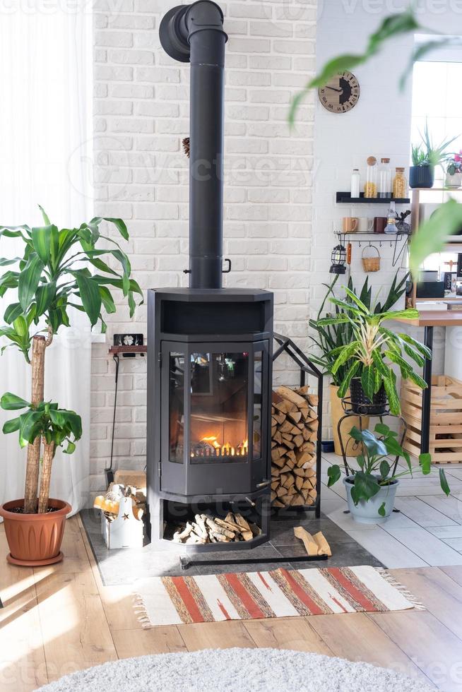 Black Metal Steel fireplace stove with fire and firewood in green home with indoor plant in flower pot in village house. Cozy home hearth in interior with potted plants photo