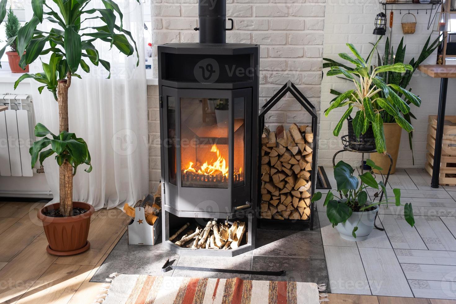 Black Metal Steel fireplace stove with fire and firewood in green home with indoor plant in flower pot in village house. Cozy home hearth in interior with potted plants photo