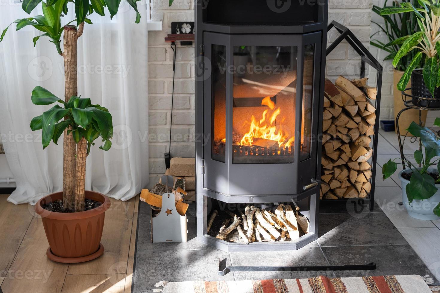 Black Metal Steel fireplace stove with fire and firewood in green home with indoor plant in flower pot in village house. Cozy home hearth in interior with potted plants photo