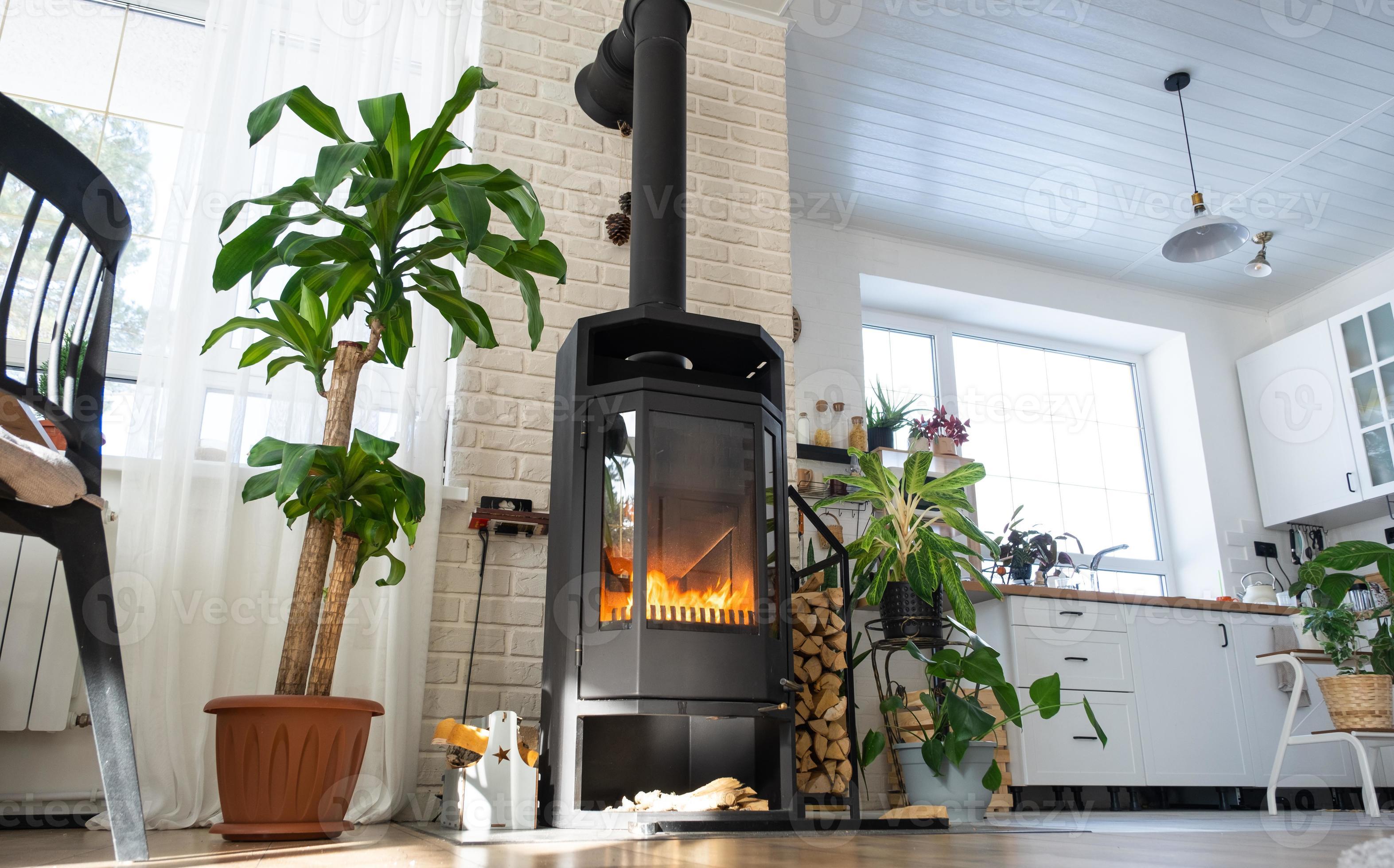 negro metal acero hogar estufa con fuego y leña en verde hogar con interior  planta en flor maceta en pueblo casa. acogedor hogar hogar en interior con  en conserva plantas 21699277 Foto