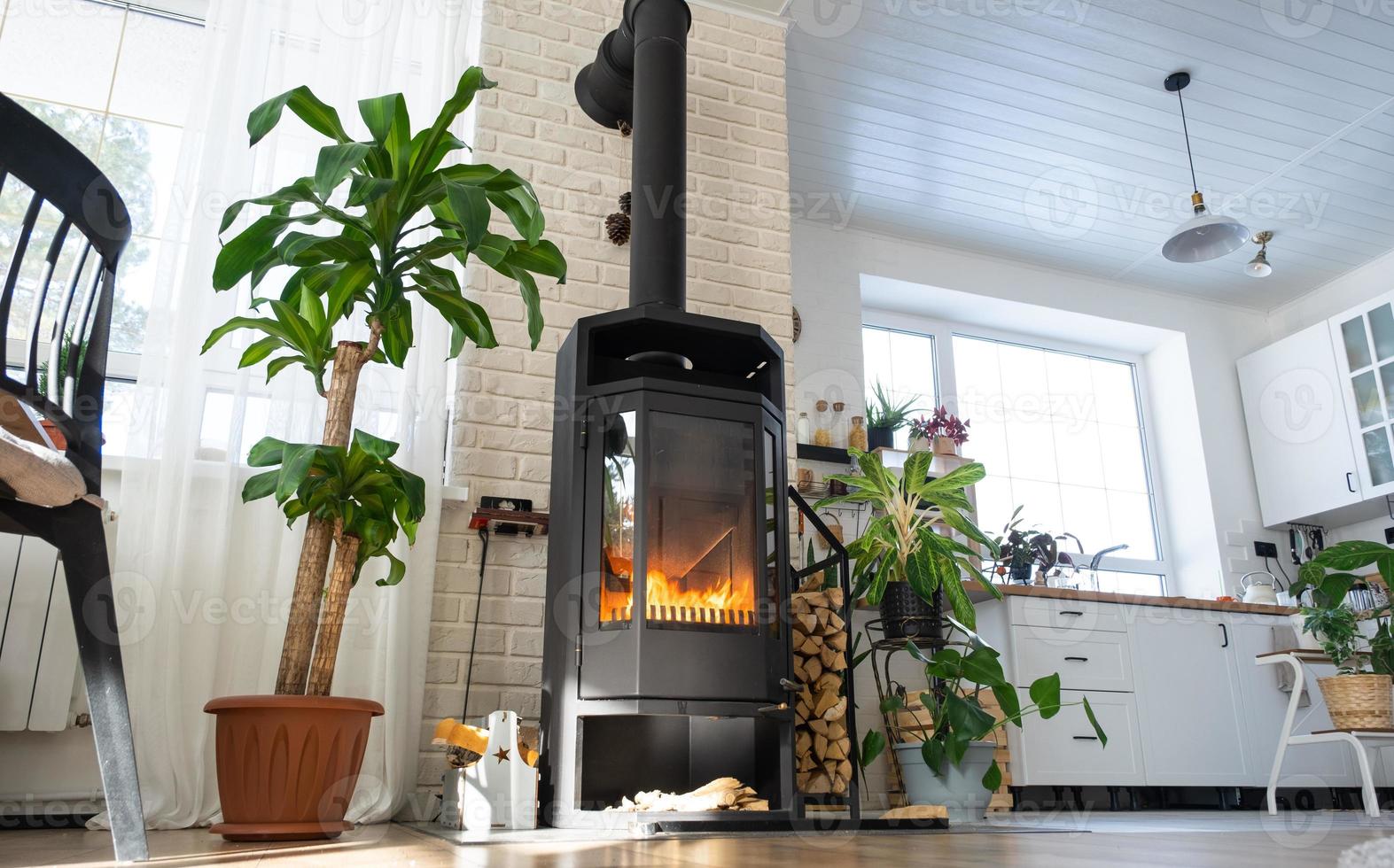 Black Metal Steel fireplace stove with fire and firewood in green home with indoor plant in flower pot in village house. Cozy home hearth in interior with potted plants photo