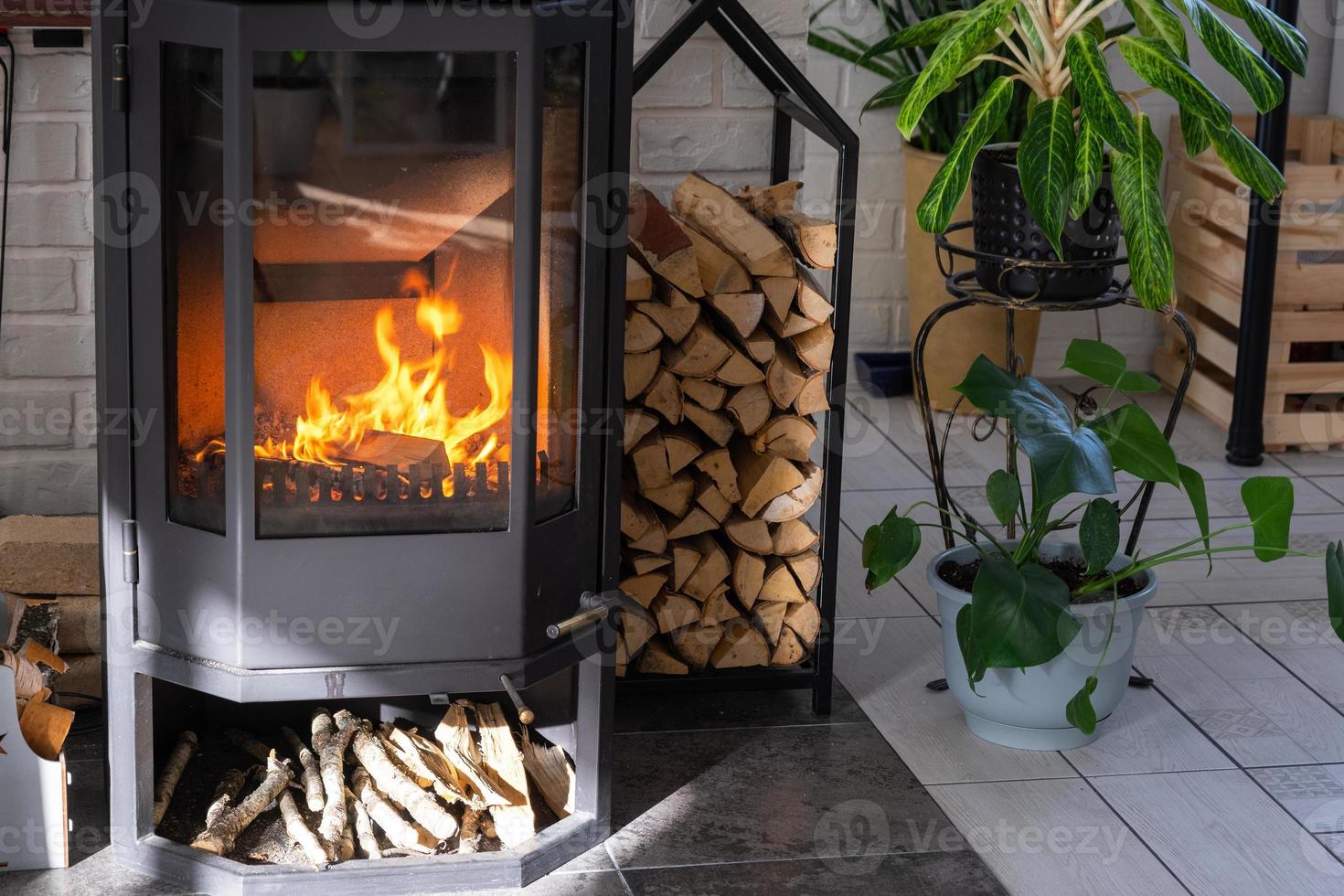 Black Metal Steel fireplace stove with fire and firewood in green home with indoor plant in flower pot in village house. Cozy home hearth in interior with potted plants photo