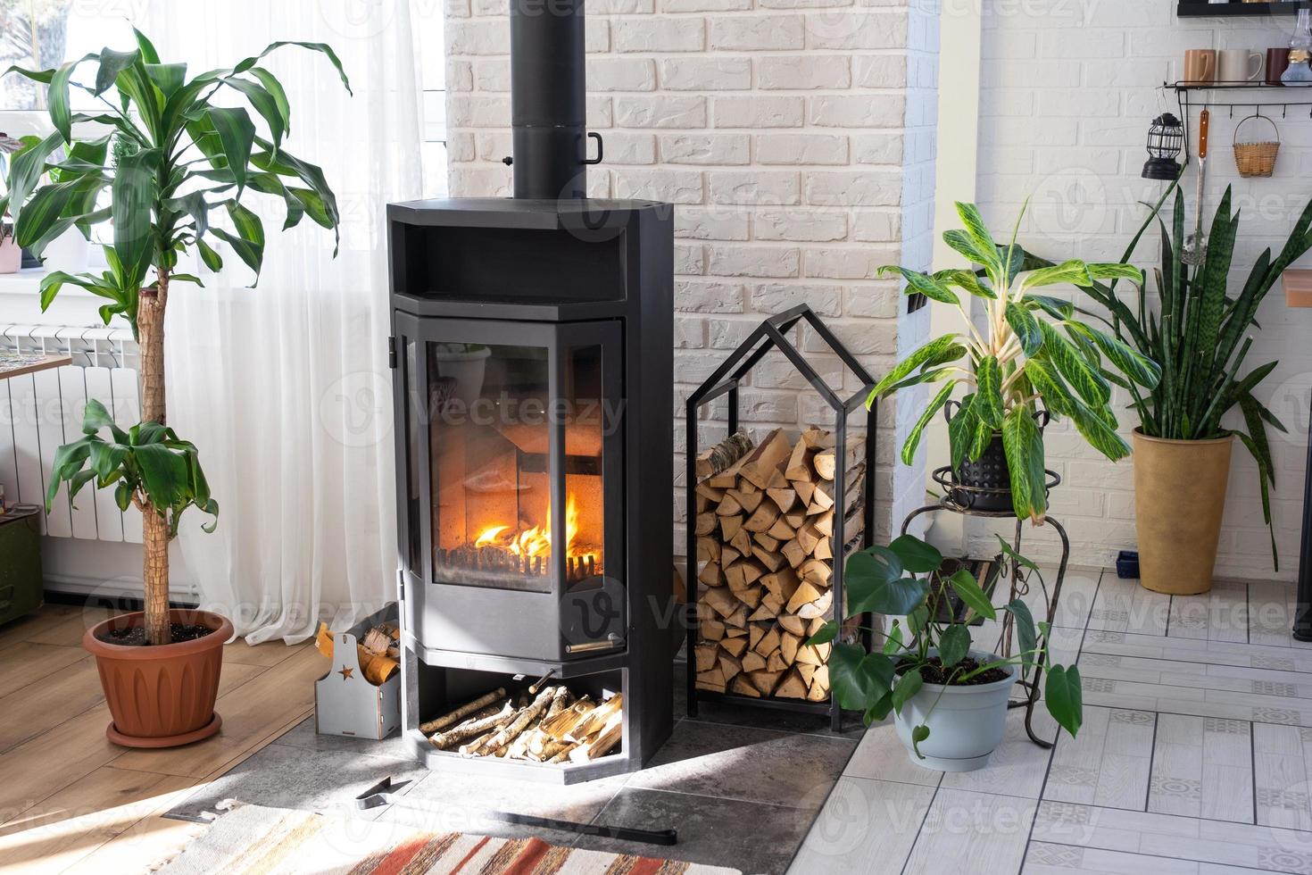 Black Metal Steel fireplace stove with fire and firewood in green home with indoor plant in flower pot in village house. Cozy home hearth in interior with potted plants photo