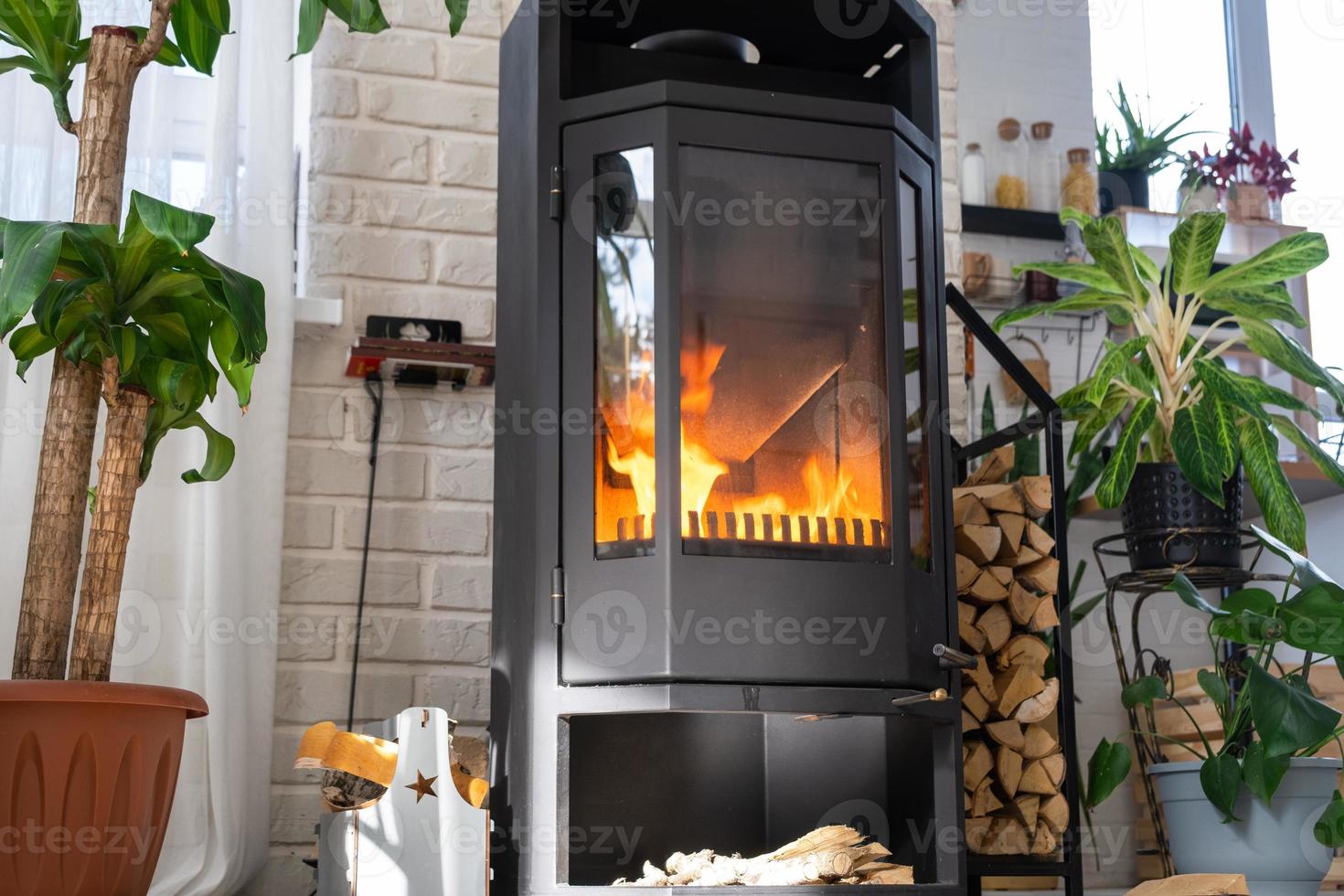 Black Metal Steel fireplace stove with fire and firewood in green home with indoor plant in flower pot in village house. Cozy home hearth in interior with potted plants photo