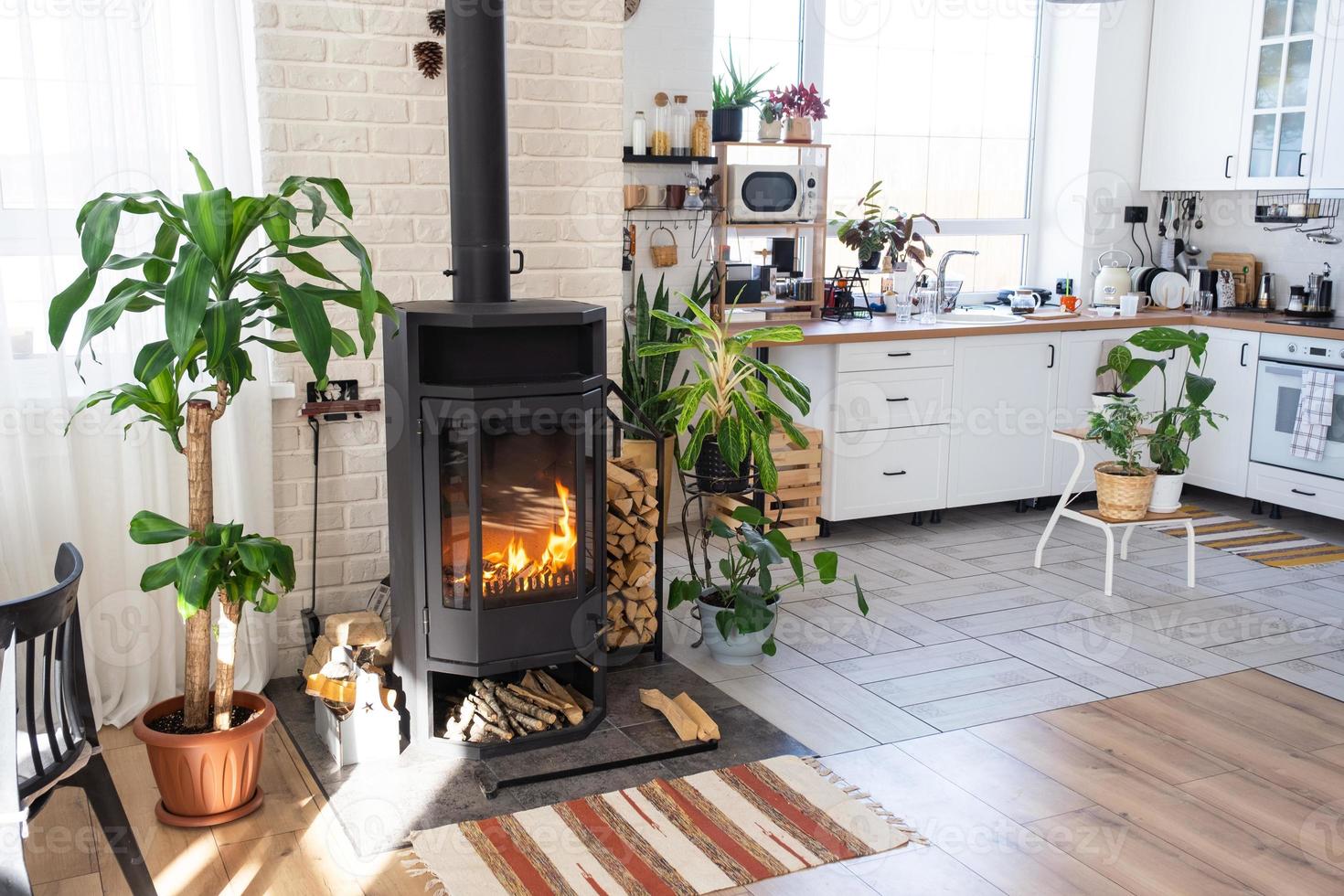 Black Metal Steel fireplace stove with fire and firewood in green home with indoor plant in flower pot in village house. Cozy home hearth in interior with potted plants photo